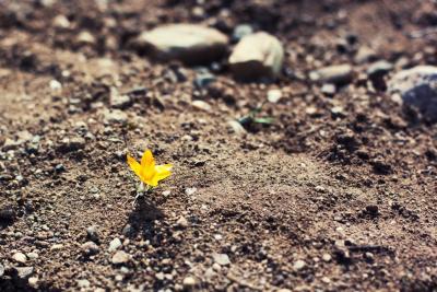 Прикрепленное изображение: 15032011_2.jpg